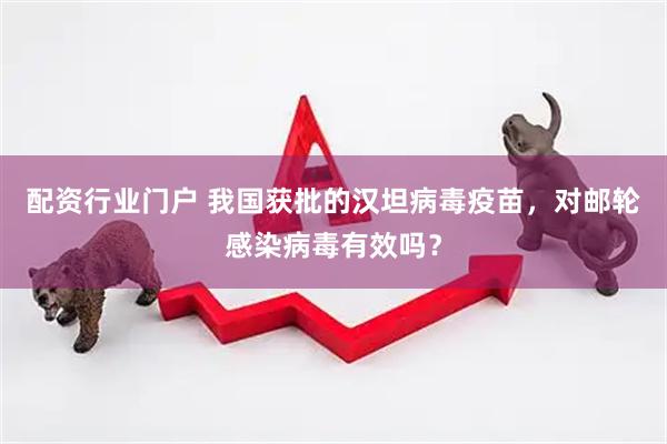 配资行业门户 我国获批的汉坦病毒疫苗，对邮轮感染病毒有效吗？